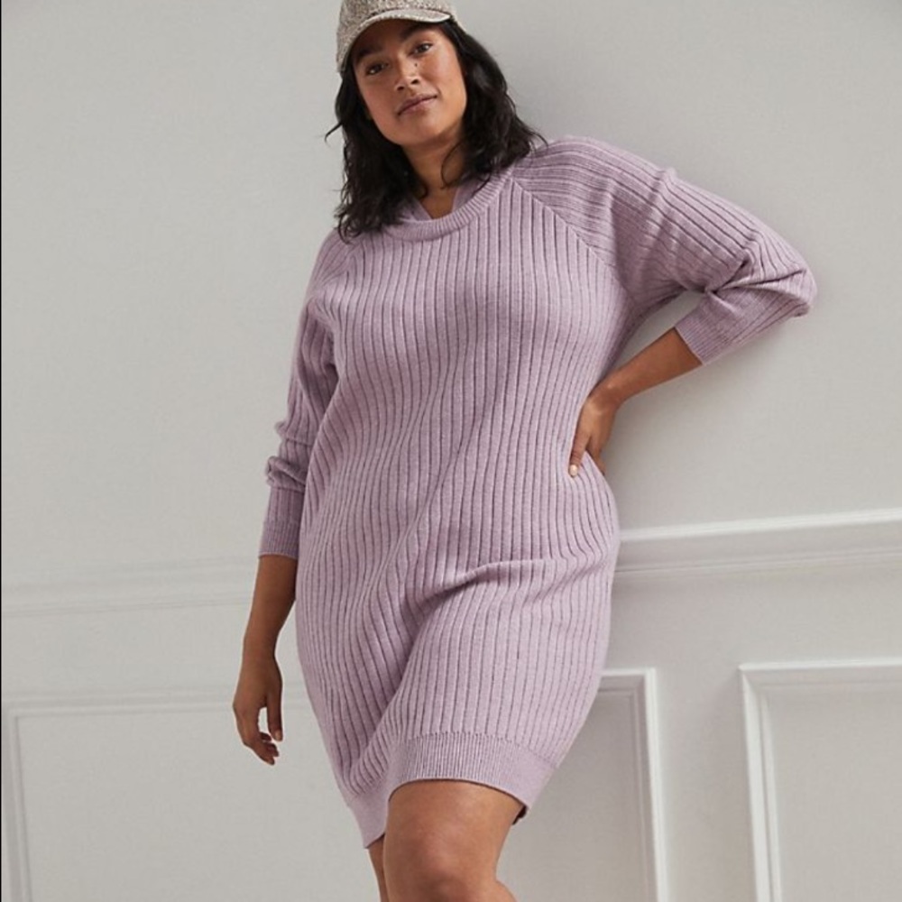 Hera Hooded Sweater Dress